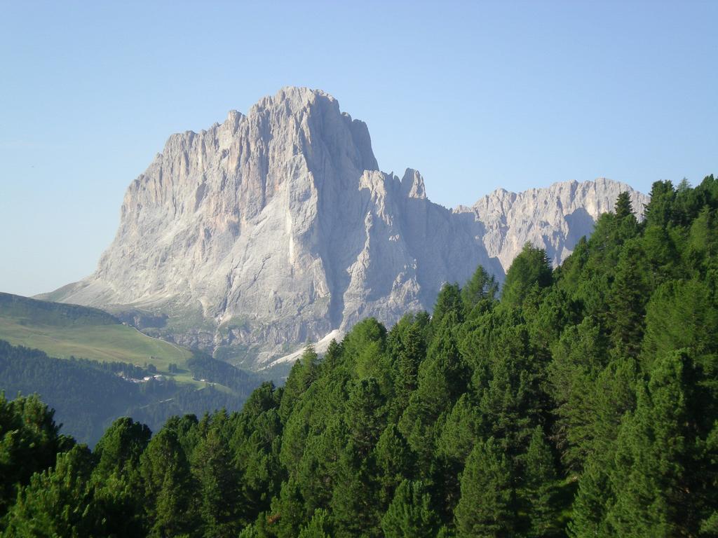 Garni Mezdi Hotel Santa Cristina Val Gardena Buitenkant foto